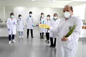 Investigadores de la UNALM emplean plantas originarias para elaborar papas fritas saludables