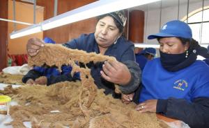 Investigadores peruanos diseñan mini lavadora para el cuidado y conservación de la fibra de vicuña