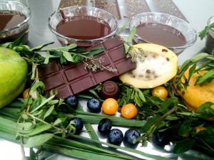 Investigadores peruanos promueven tecnología para elaborar chocolates aromatizados con frutos nativos y plantas amazónicas