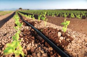 Ipesa proyecta crecer en Chile con servicios de riego tecnificado