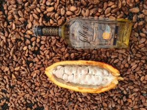 <span class='highlight'></span>I<span class='highlight'></span>S<span class='highlight'></span>C<span class='highlight'></span> <span class='highlight'></span>Y<span class='highlight'></span> <span class='highlight'></span>L<span class='highlight'></span>E<span class='highlight'></span>Y<span class='highlight'></span> <span class='highlight'></span>P<span class='highlight'></span>A<span class='highlight'></span>R<span class='highlight'></span>A<span class='highlight'></span> <span class='highlight'></span>E<span class='highlight'></span>R<span class='highlight'></span>R<span class='highlight'></span>A<span class='highlight'></span>D<span class='highlight'></span>I<span class='highlight'></span>C<span class='highlight'></span>A<span class='highlight'></span>R<span class='highlight'></span> <span class='highlight'></span>B<span class='highlight'></span>E<span class='highlight'></span>B<span class='highlight'></span>I<span class='highlight'></span>D<span class='highlight'></span>A<span class='highlight'></span>S<span class='highlight'></span> <span class='highlight'></span>A<span class='highlight'></span>D<span class='highlight'></span>U<span class='highlight'></span>L<span class='highlight'></span>T<span class='highlight'></span>E<span class='highlight'></span>R<span class='highlight'></span>A<span class='highlight'></span>D<span class='highlight'></span>A<span class='highlight'></span>S<span class='highlight'></span> <span class='highlight'></span>P<span class='highlight'></span>E<span class='highlight'></span>R<span class='highlight'></span>J<span class='highlight'></span>U<span class='highlight'></span>D<span class='highlight'></span>I<span class='highlight'></span>C<span class='highlight'></span>A<span class='highlight'></span>N<span class='highlight'></span> <span class='highlight'></span>A<span class='highlight'></span> <span class='highlight'></span>P<span class='highlight'></span>R<span class='highlight'></span>O<span class='highlight'></span>D<span class='highlight'></span>U<span class='highlight'></span>C<span class='highlight'></span>T<span class='highlight'></span>O<span class='highlight'></span>R<span class='highlight'></span>E<span class='highlight'></span>S<span class='highlight'></span>