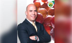 José Antonio Gómez Bazán es el nuevo CEO de Camposol