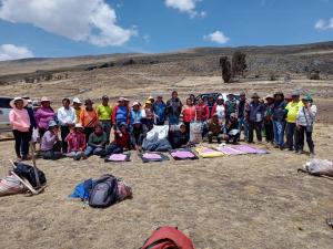 Junín: INIA instala parcela demostrativa de tarwi en distrito de Janjaillo
