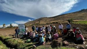 Junín: INIA instala parcela demostrativa para mejorar calidad del maíz variedad Blanco Urubamba en Concepción