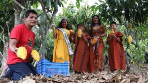 Junín: productores de Satipo exportan 25 toneladas de cacao de calidad