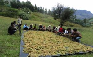 Juramenta Consejo Directivo de la Mesa Técnica de Productos Andinos