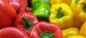 Kryptón: una alternativa eficaz para control de plagas en cultivos de espárragos y pimientos