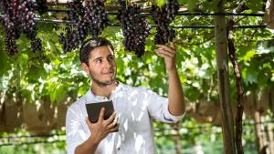 La agroindustria entre los sectores donde suben más los sueldos