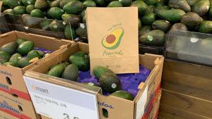 La atmósfera controlada puede dar un gran impulso al negocio exportador de palta peruana