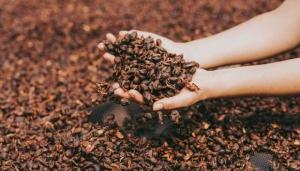 La cáscara del café ahora vale más que el grano, ¿Cómo lo está aprovechando Perú?