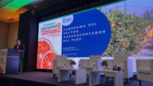 La citricultura peruana busca sobreponerse a las dificultades