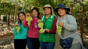 "La coincidencia de campañas de mango, arándanos y uva ha generado una sobrecarga en las capacidades logísticas"