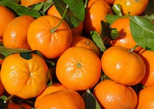 “La demanda de mandarinas peruanas Nadorcott es sorprendentemente alta”