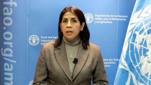 “La deuda que el país tiene con la alimentación saludable es inmensa y es responsabilidad del Estado y la sociedad”