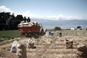La incertidumbre y la inflación golpean a los agricultores en todo el mundo