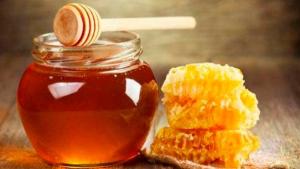 La industria de la miel y otras similares tienen una demanda insatisfecha de polinización en el Perú