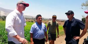 La Libertad: planean dedicar hasta 100 hectáreas a cultivo de marihuana para uso medicinal