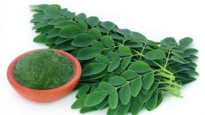 La moringa, cada vez más popular en Europa