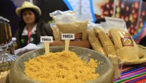 La panela, un sustituto saludable para el azúcar refinado