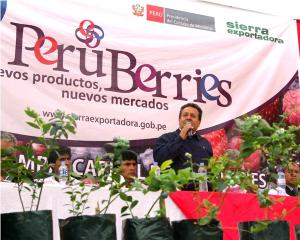 LA RUTA PERUANA DE LOS BERRIES