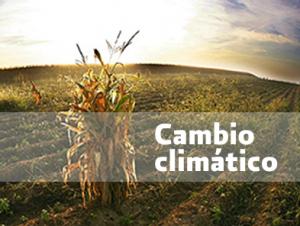 LAMBAYEQUE: ORGANIZAN PRIMER FORO SOBRE AGRICULTURA Y CAMBIO CLIMÁTICO