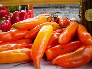 LAMBAYEQUE PRODUCE EL 40% DE LOS AJÍES Y PIMIENTOS DEL PAÍS