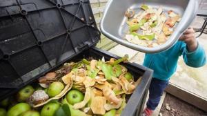 Lanzan campaña para reducir "inmoral" desperdicio de alimentos en América Latina