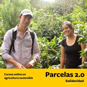 Lanzan clases online en agricultura sostenible para el sector cafetero y cacaotero