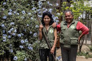 Lanzan novedoso sello de certificación comunitaria para agricultores urbanos de Lima