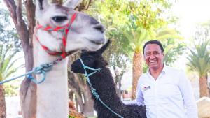 Ley del canón hídrico es beneficiosa para la conservación de camélidos