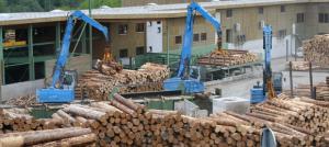 Lima es sede de primera cumbre latinoamericana sobre comercio responsable de madera