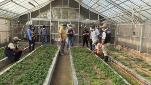 Lima: Productores de Sayán son capacitados en mejoramiento genético de ganado, producción de frutales y abonamiento ecológico
