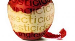 “Límites Máximos de Residuos son parámetros que reflejan el buen uso en el campo de los agroquímicos”