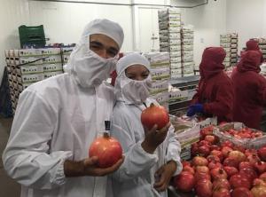 Listas las primeras granadas ecológicas peruanas