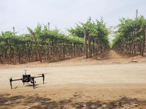 “Lo más importante en la aplicación de agricultura de precisión es la interpretación de los datos”