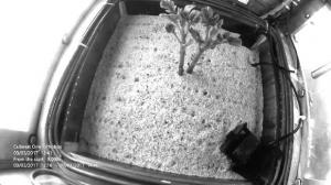 Logran cultivar papa en ambiente similar a Marte