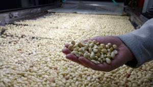 Los cinco productos agroindustriales en los que Argentina también es campeón mundial