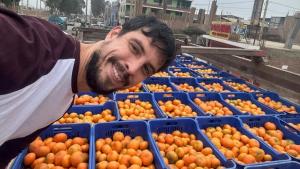 "Los cítricos de Perú tienen más volumen, color y fruta que la campaña pasada"