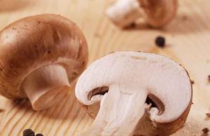 Los humildes hongos, el nuevo superalimento