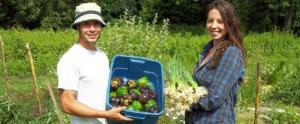 Los más jóvenes deben saber que la agricultura es una opción profesional rentable