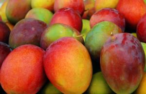 “Los volúmenes de producción de mango de Brasil no son capaces de compensar la falta de producto peruano"