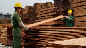 Maderera Bozovich trasladará sus operaciones a Madre de Dios