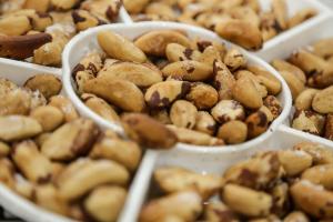 Madre de Dios: establecen requisitos de calidad para la cadena de valor de la castaña amazónica