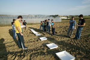 Mañana se realiza la VIII Reunión Anual de Investigación de la Facultad de Agronomía de la UNALM