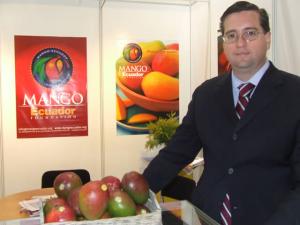 Mango de Ecuador “pone sus ojos” en incrementar su internacionalización y crear un sello de calidad autóctono