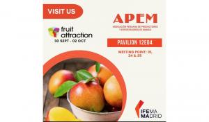 Mangos peruanos vuelven a abanderar la calidad y seguridad alimentaria en Fruit Attraction 2025