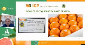 Marca de calidad IGP “Cítricos Valencianos” participa exitosamente en CITRUS FORUM