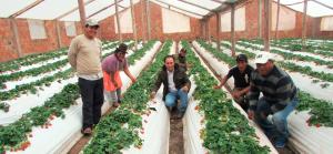 Más de 12 mil pobladores sustituyen energía tradicional por energía renovable