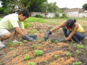 Más de 160 jóvenes se reunirán en Foro Nacional \"Juventud Rural y Agroecología\"