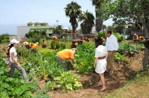 Más de 200 jóvenes rurales participaran en Foro Nacional “Juventud Rural y Agroecología”